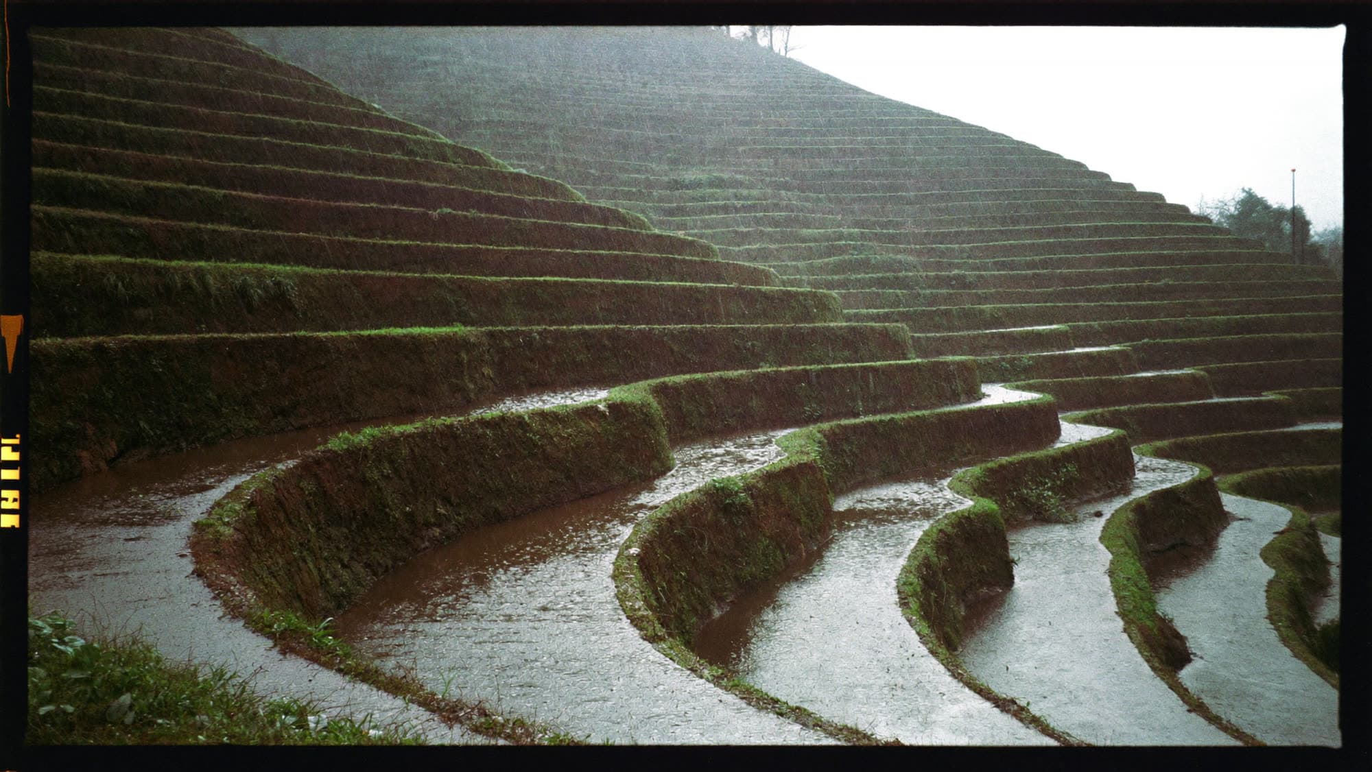 Terraced fields in heavy rain